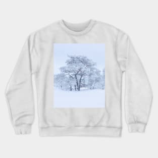 Pine tree covered in hoarfrost Crewneck Sweatshirt